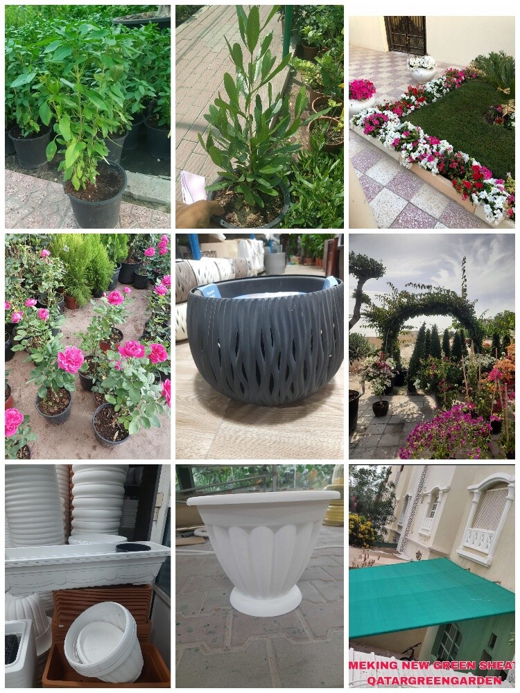 Garden new landscape - 22