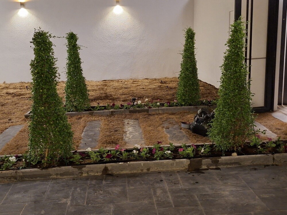 Garden new landscape - 26