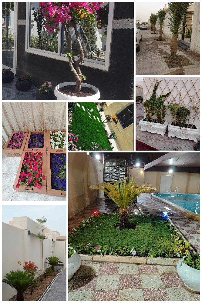 Garden new landscape - 20