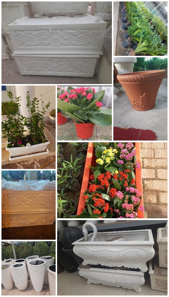 Garden new landscape - 23