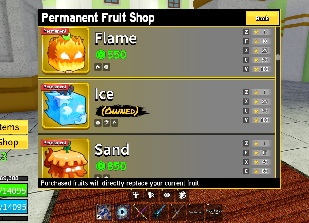 Bloxfruit Account - 10