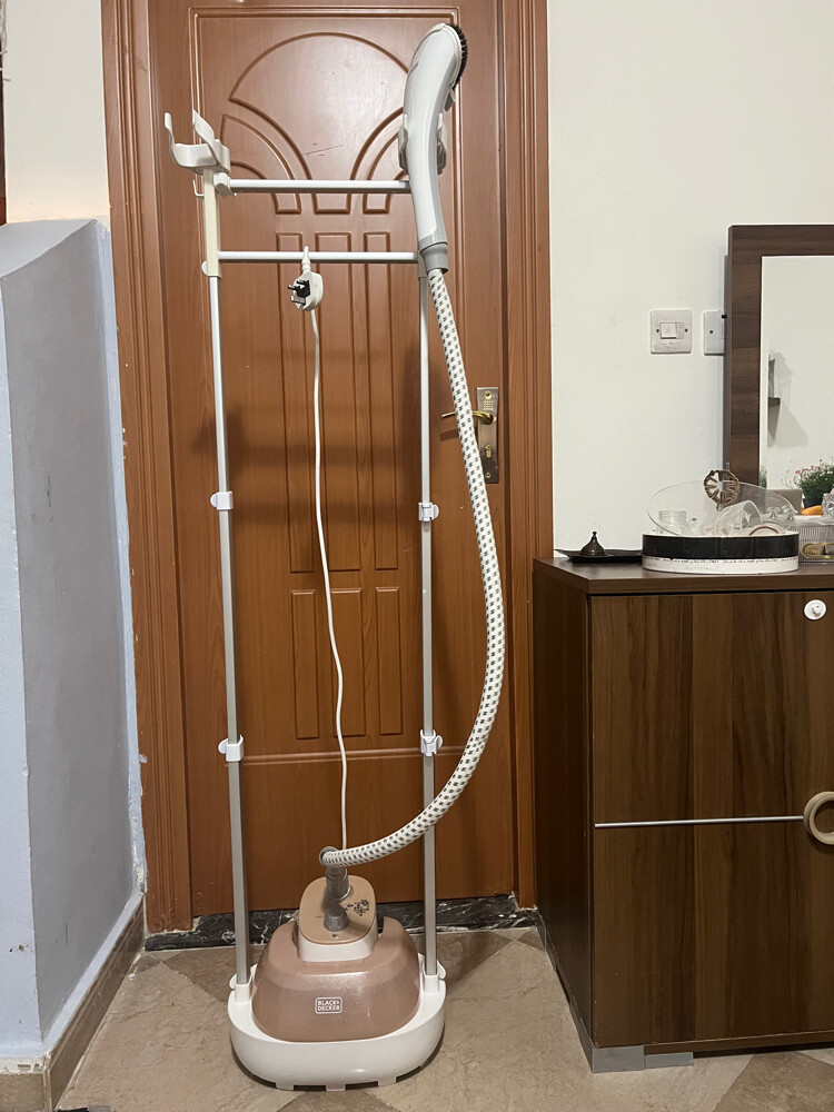 Steam iron - 1