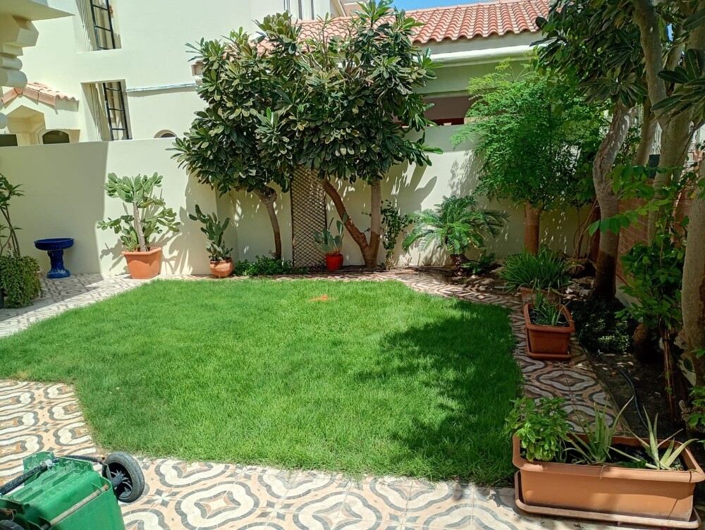 Al Balushi - 7