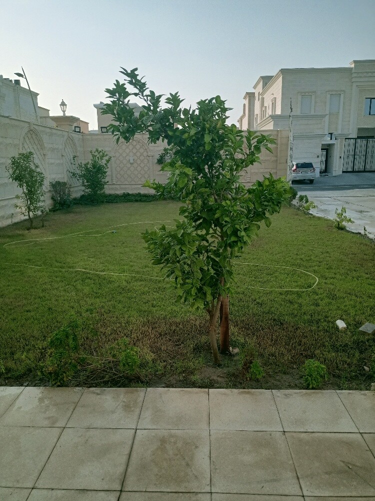 Al Balushi - 2