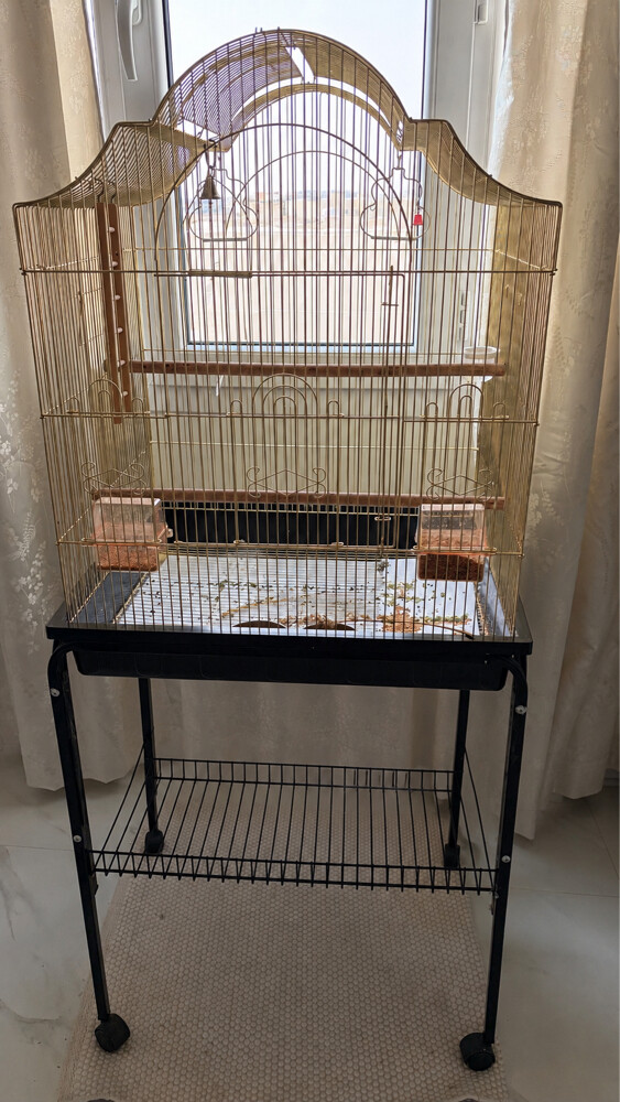 Big birds cage - 1