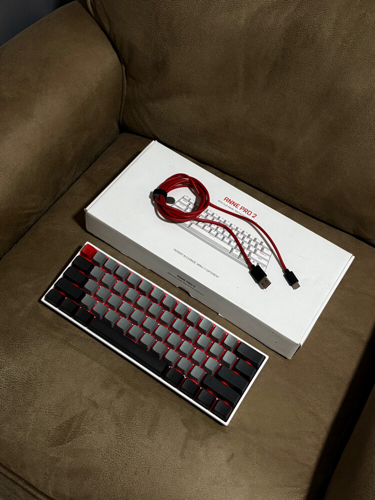 Obinskit Anne Pro 2 - 1