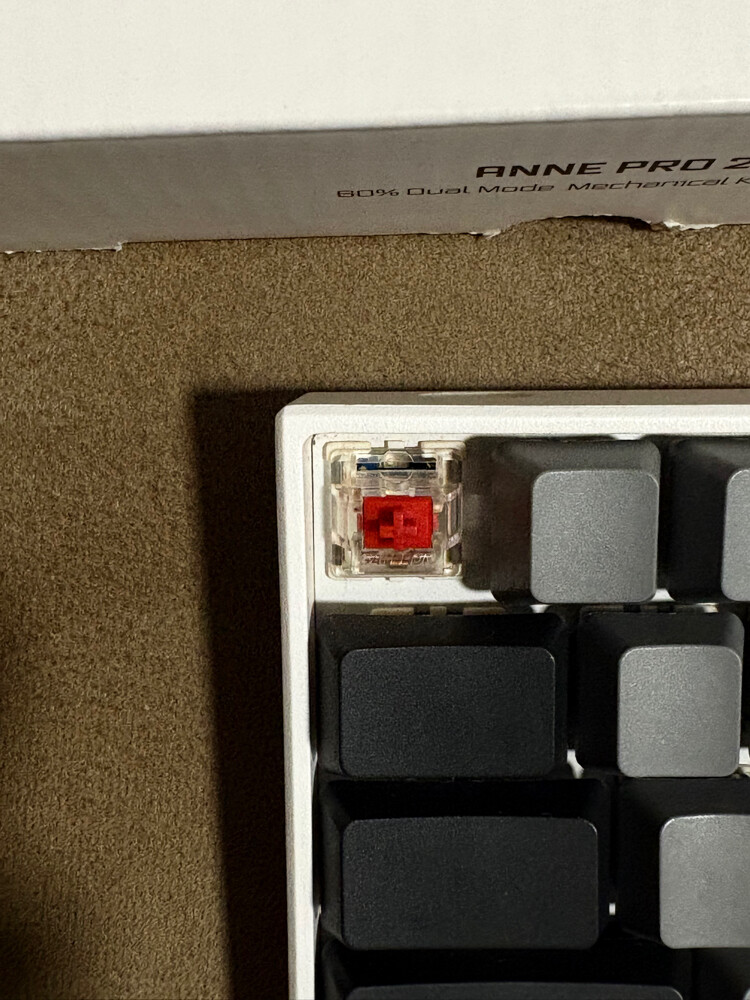 Obinskit Anne Pro 2 - 2