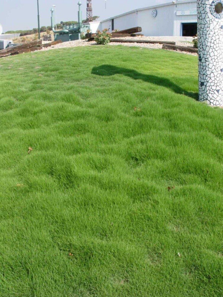 تنسيق احواض الزراعه - 4