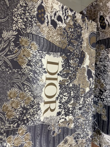 Dior bag - 4