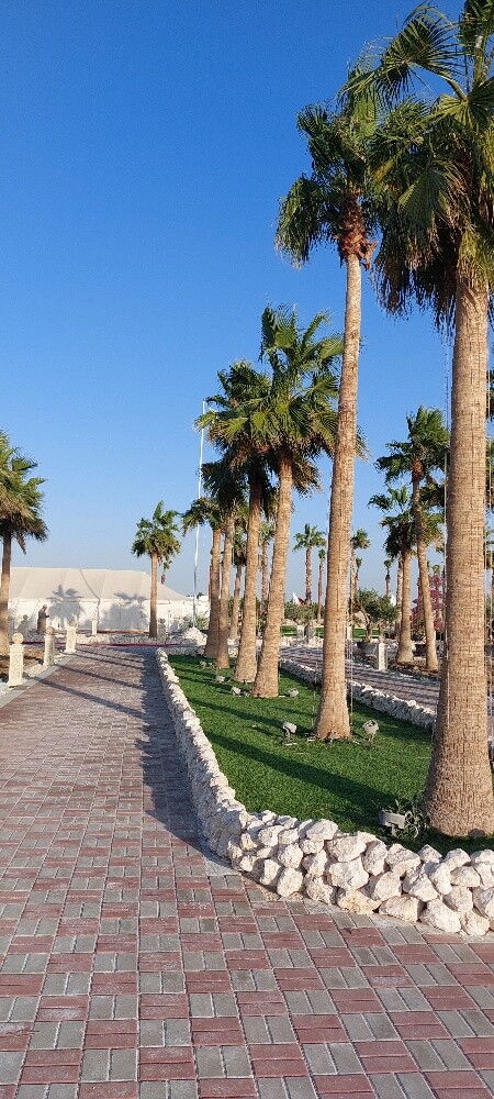 خدمة حجر - 20
