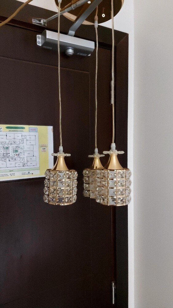 ثرياء جميلة استخدام بسيط - 4