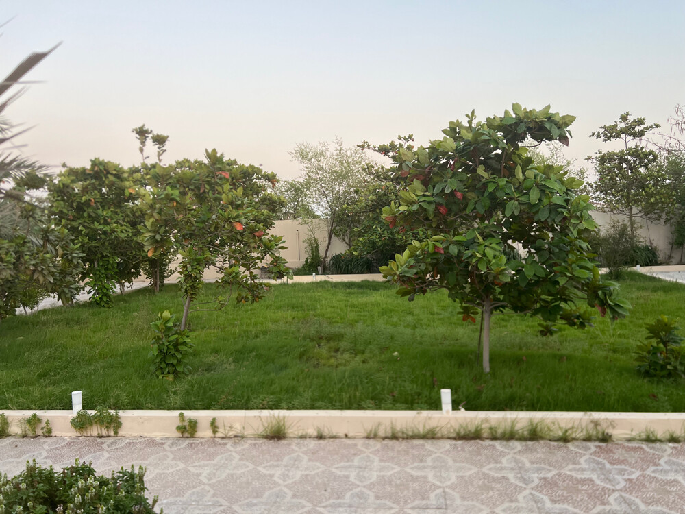 عزبه للتنازل بالخوربشكل منظم راقي - 9
