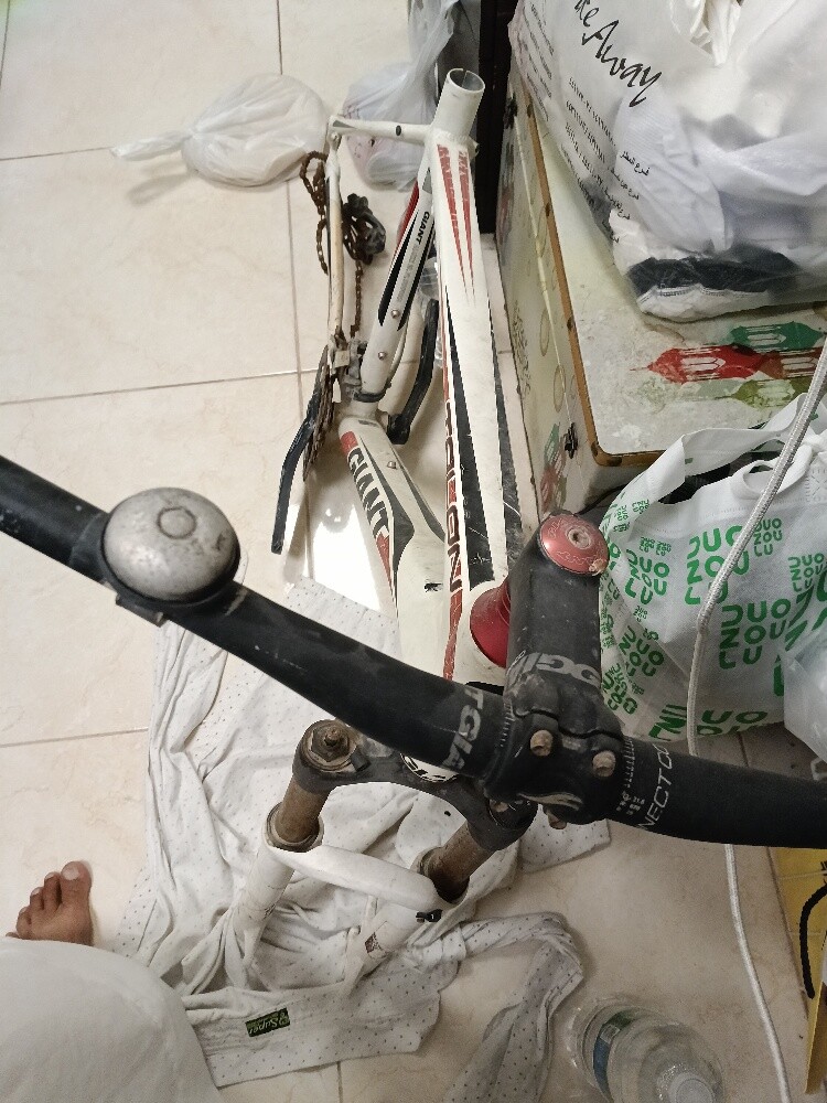 GIANT TALON SIZE M - 2