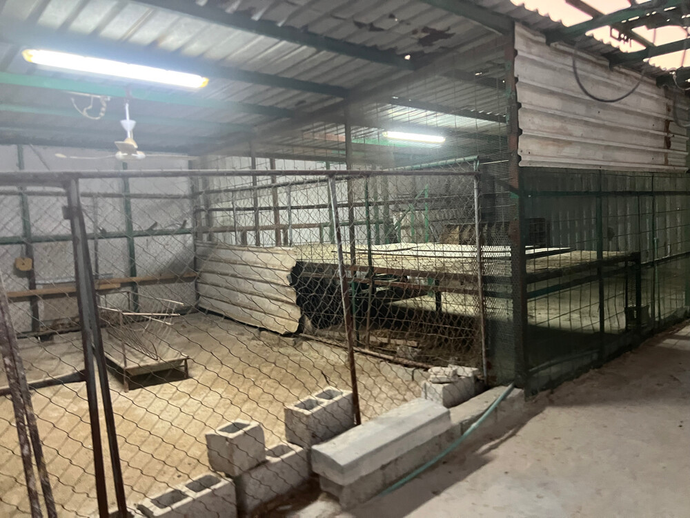 عزبه بالخوربشكل منظم راقي - 6
