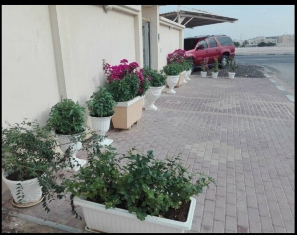 متخصصون في تنسيق الحدائق بالعشب ا - 8