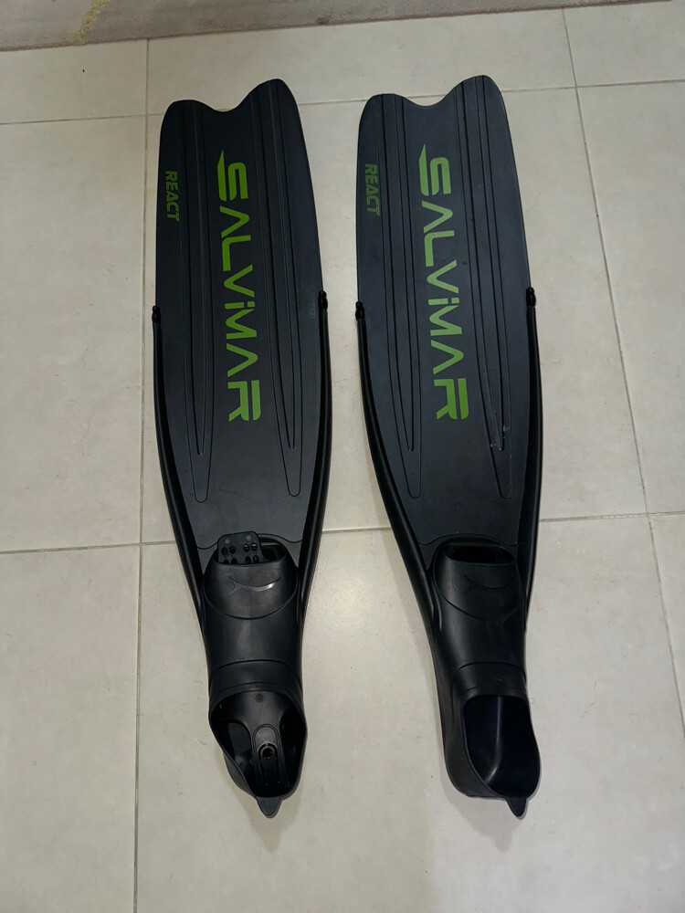 diving fins - 2