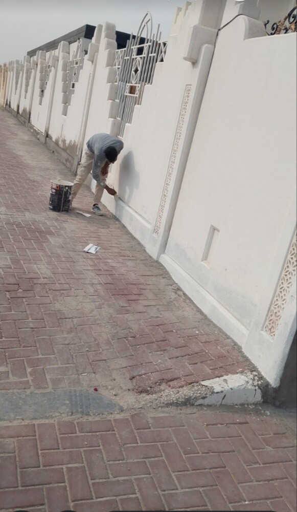 صبغ فلل - 3