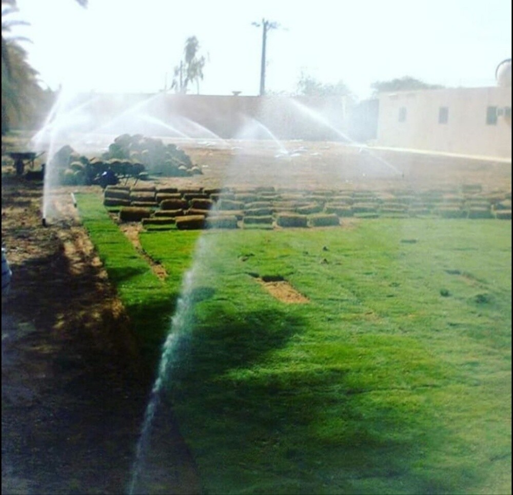 شبكه ري - 3