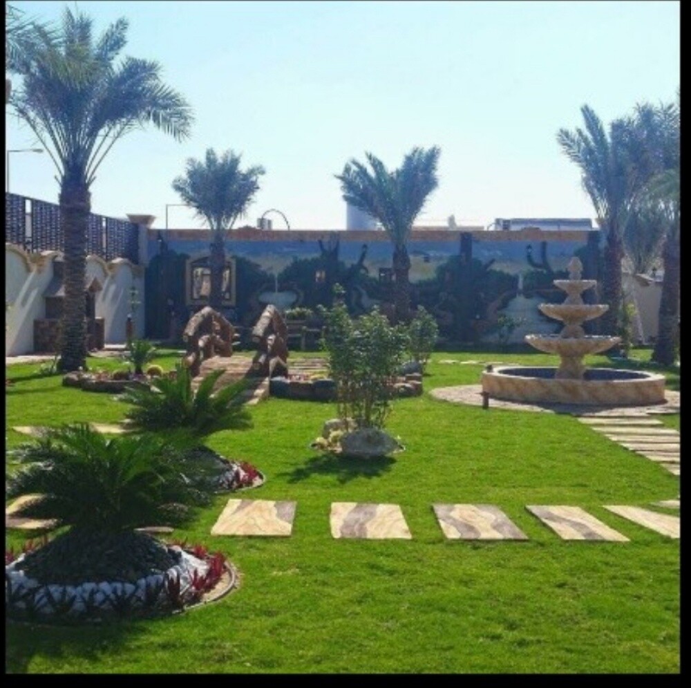 زراعه وتنسيق الحدائق - 1