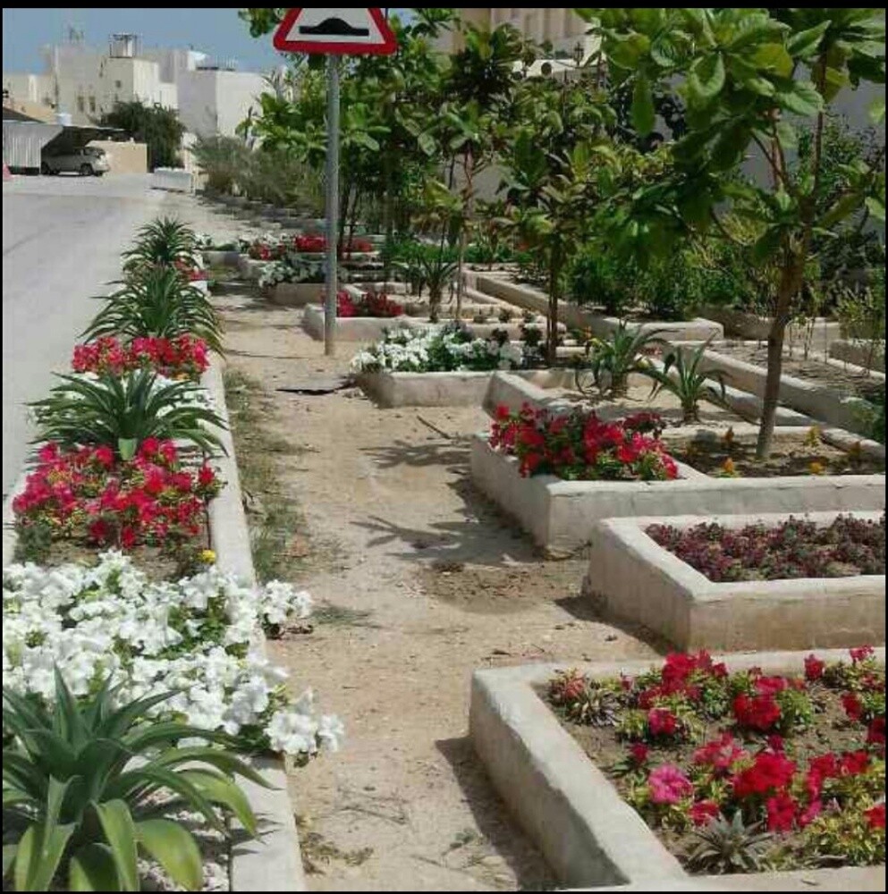 زراعه وتنسيق الحدائق - 3