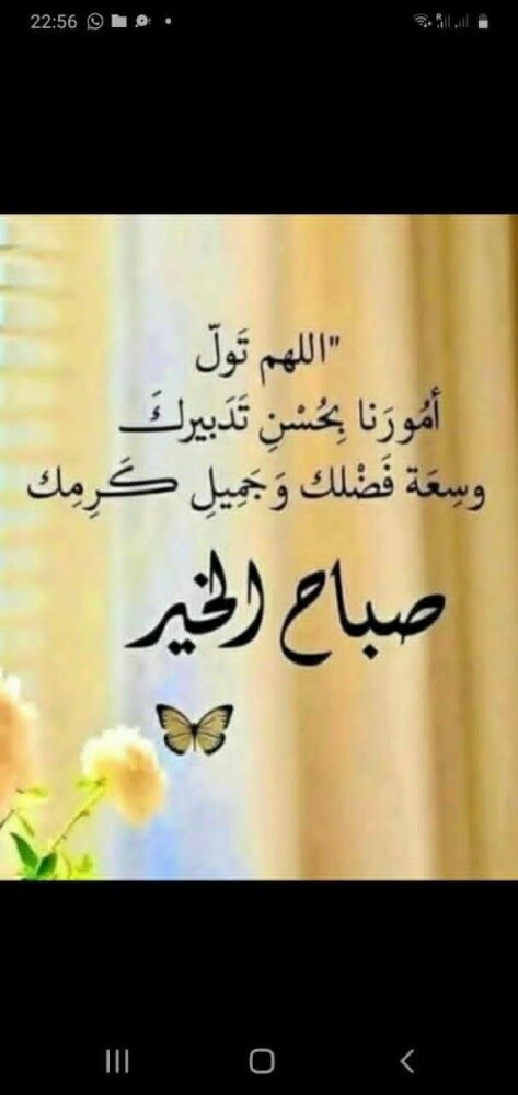 ستوديو عباره غرفه وصاله - 1