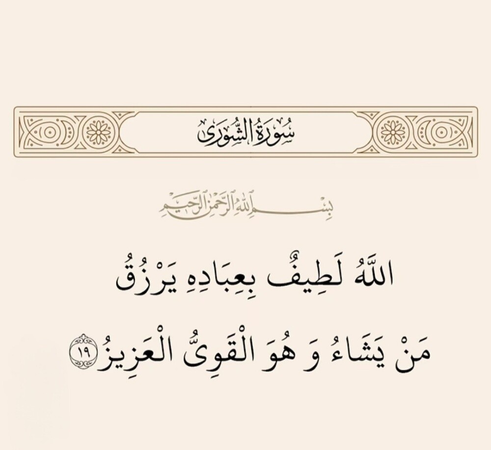 يامن عبدالمطلب عبدالعليم احمد - 1