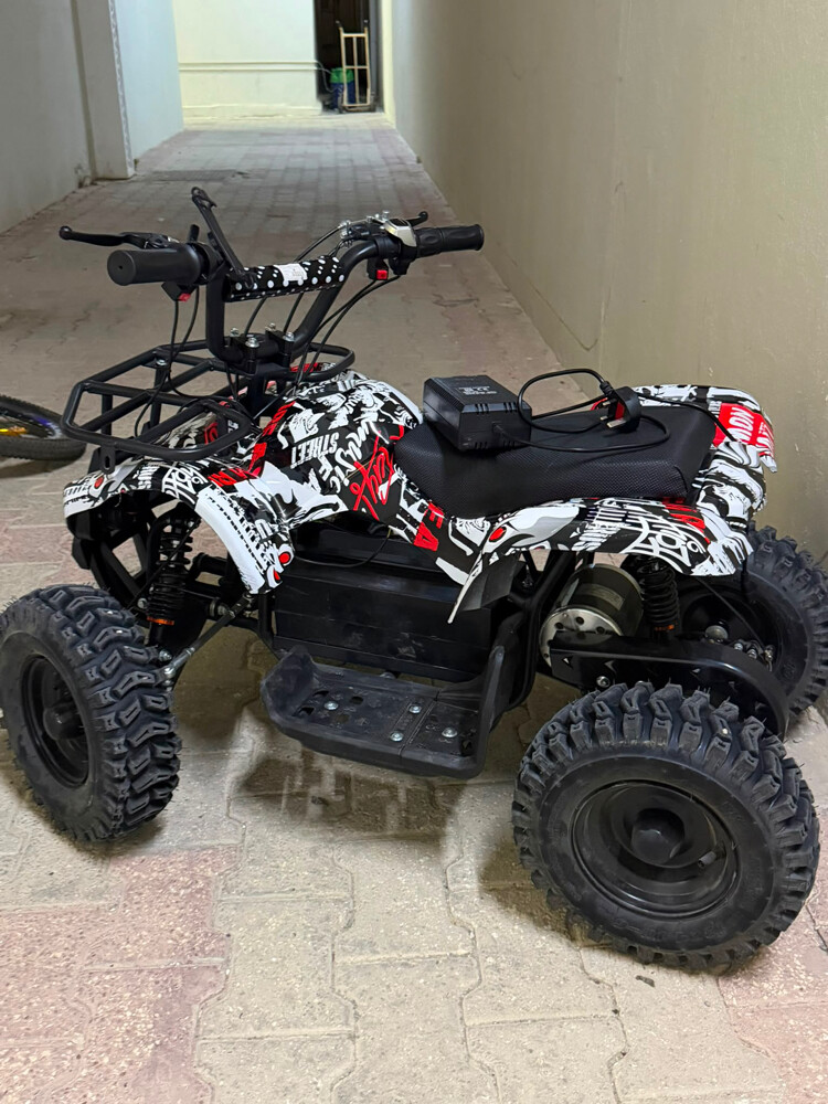 Electric bicycle for sale - 2