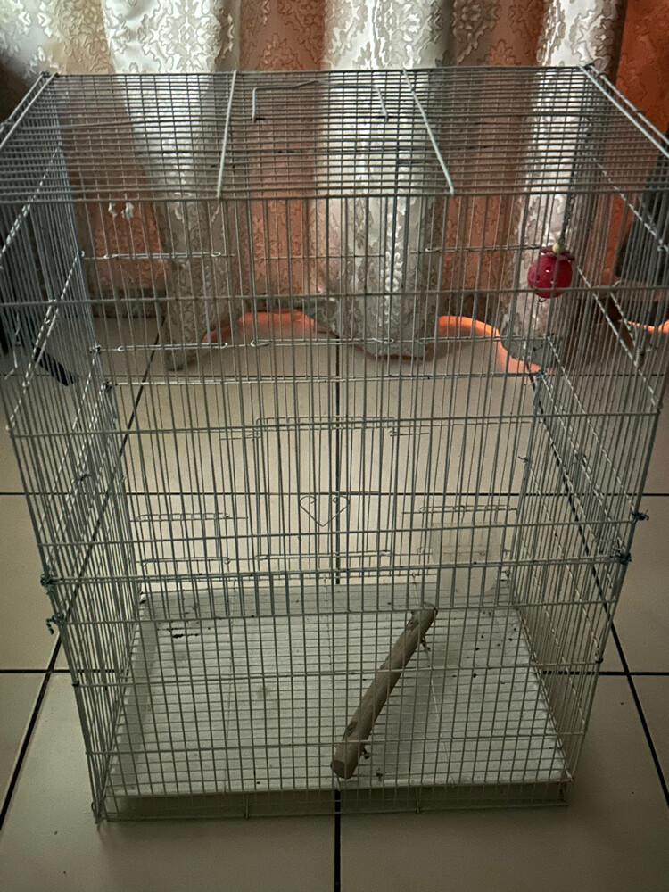 قفص - 1