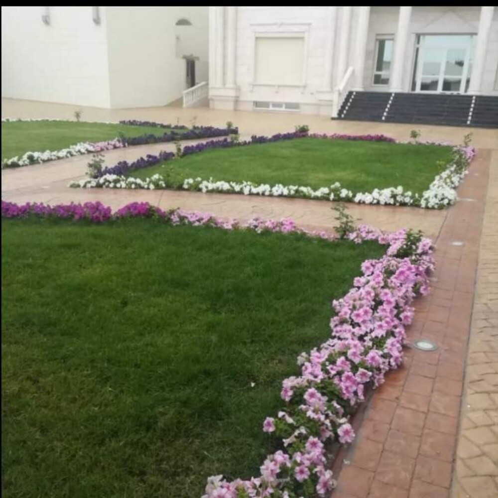 تنظيف الحدايق - 2