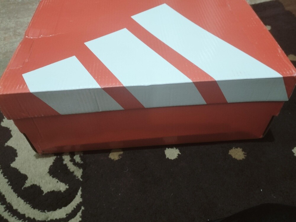 new shoe adidas ultra boost edge - 4