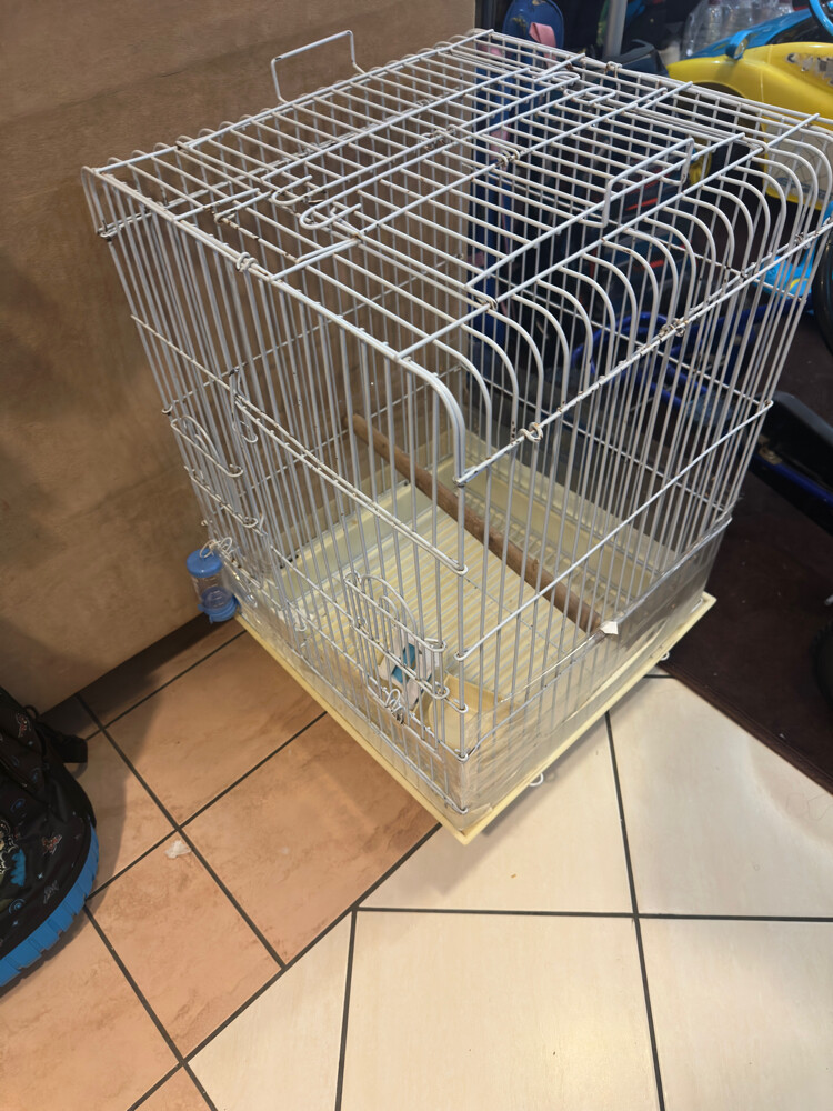 cage  - 1