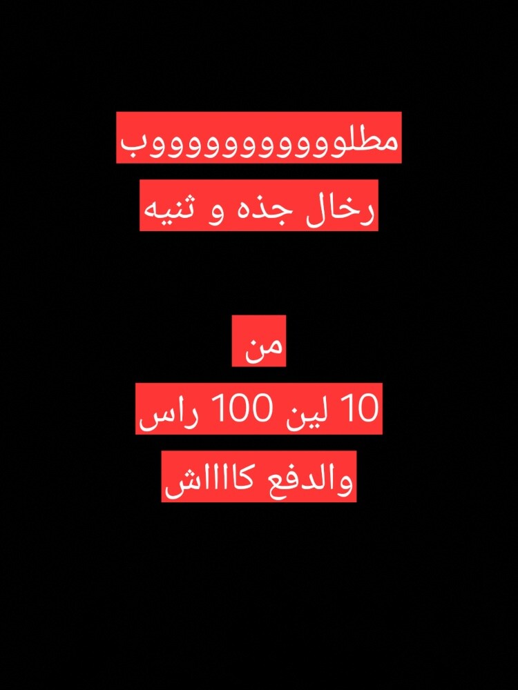 مطلوووووووب رخال - 1