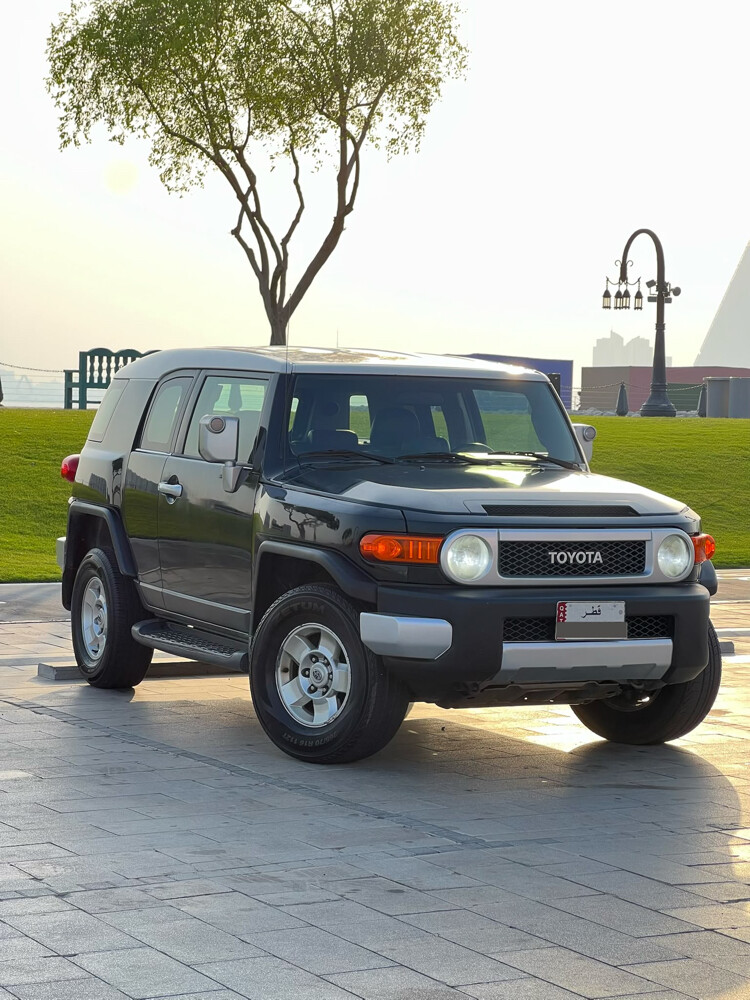 Toyota FJ 2010 - 3