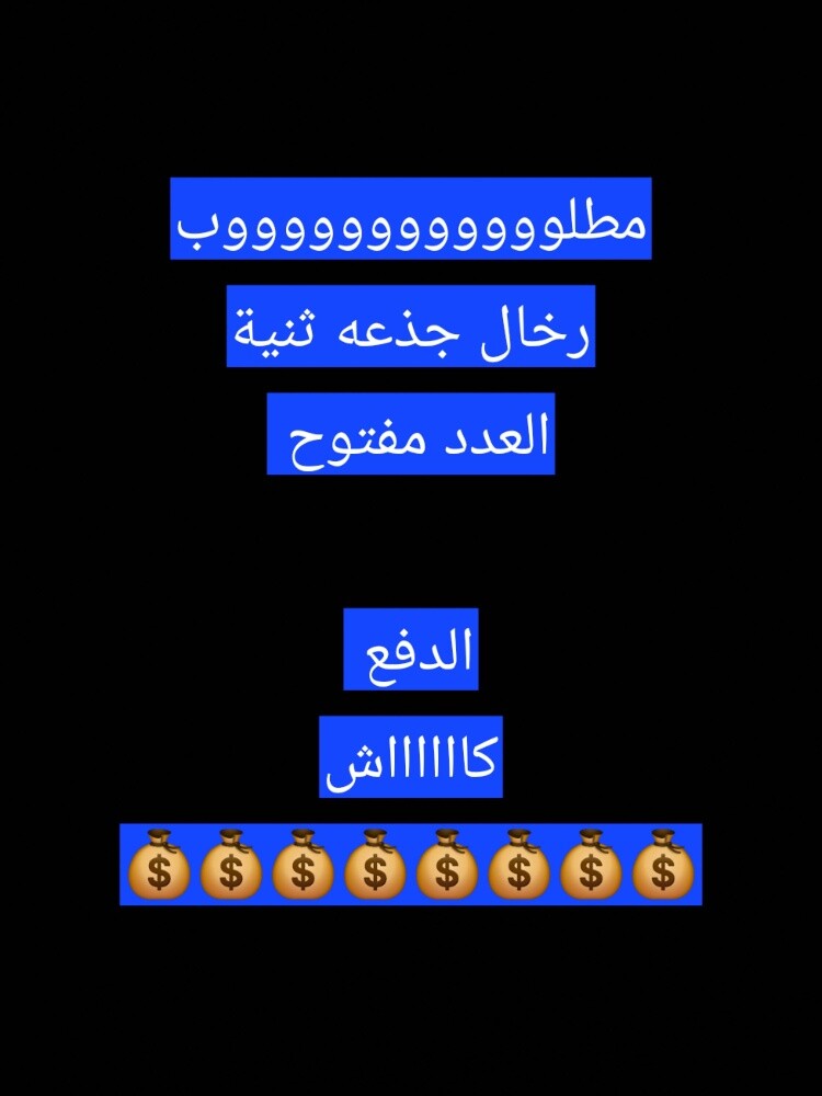 مطلوب رخال - 1