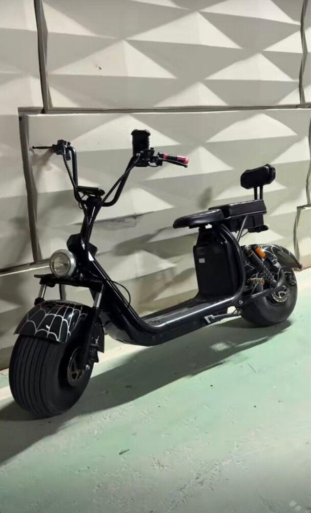 Electric Harley - 1