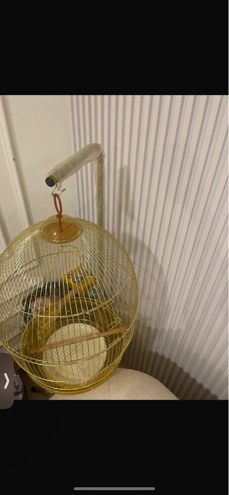 cage - 1