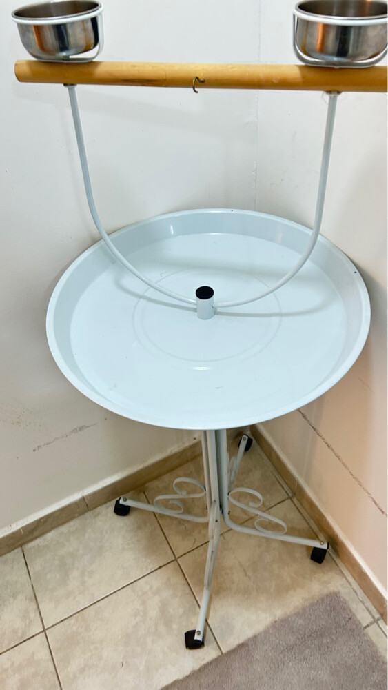 حامل ببغاء - 1