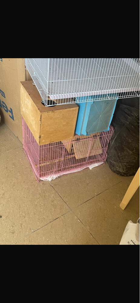 cage - 3