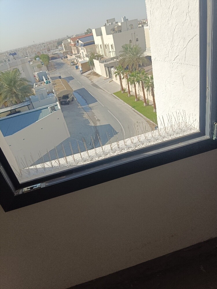 طارد الحمام - 5