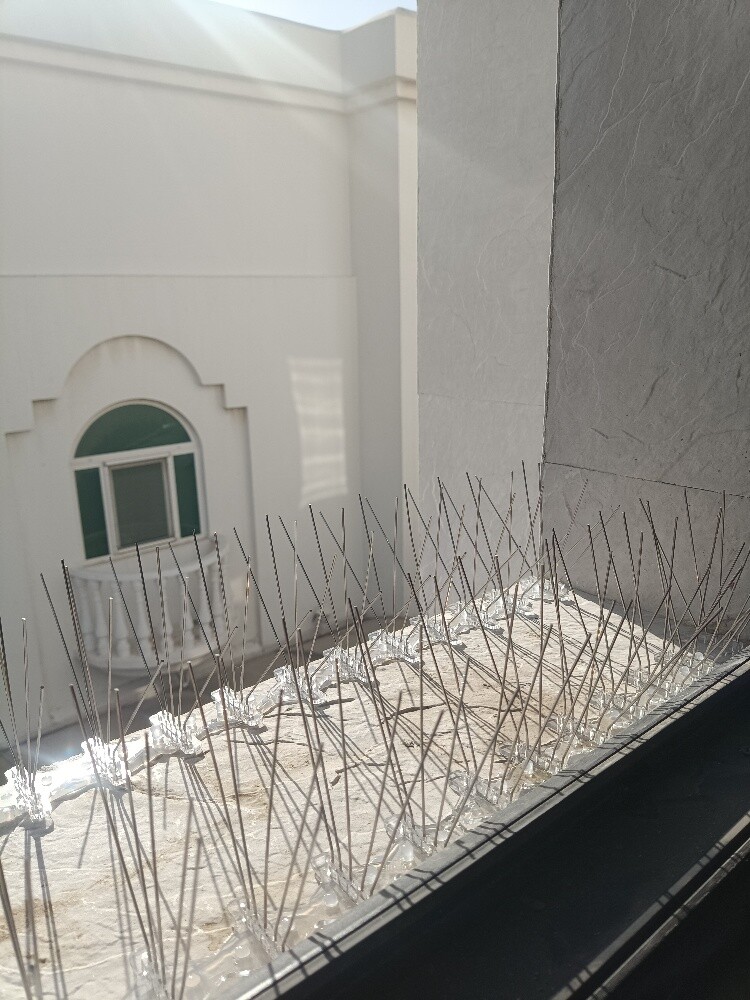 طارد الحمام - 3