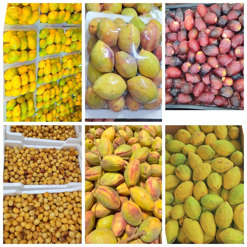 لوز رطب و سمن بقر قطر - 1