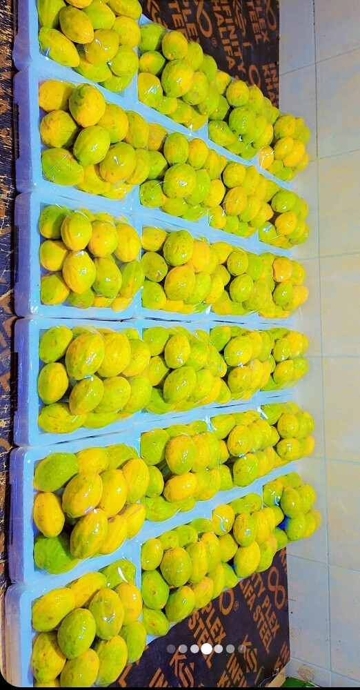 لوز رطب و سمن بقر قطر - 5