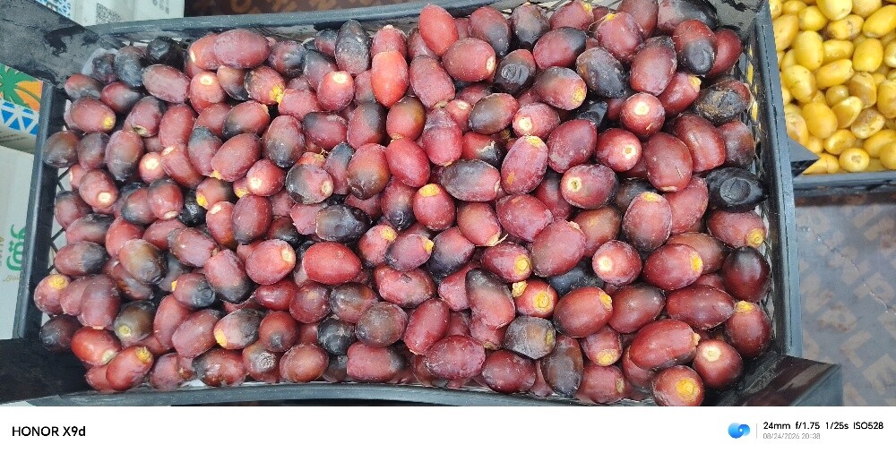 لوز رطب و سمن بقر قطر - 6