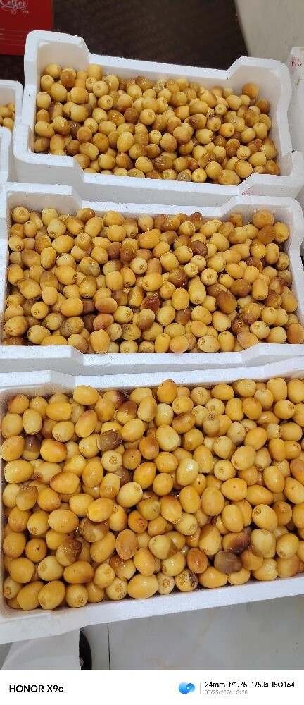 لوز و رطب - 10
