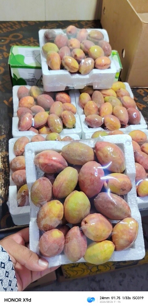 لوز و رطب - 2