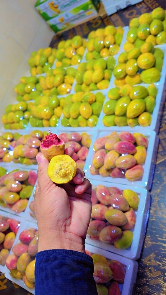لوز و رطب - 4