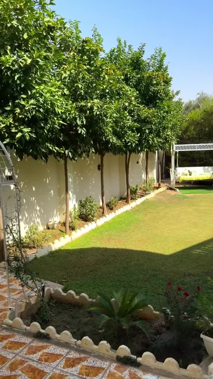 تنسيق وترتيب الحدائق وعمل الصيانة - 1