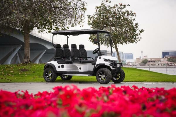 Golf Cart Country Club 4 seater - 2