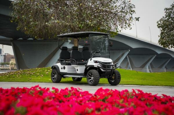 Golf Cart Country Club 4 seater - 5