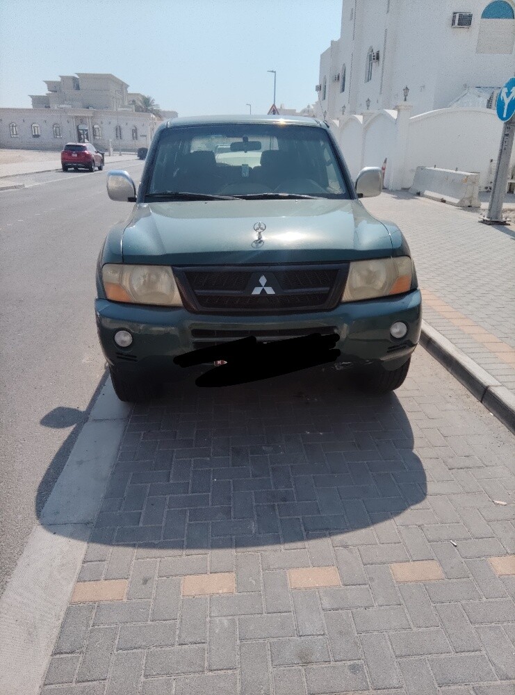 بجير  2006 - 1